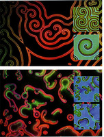 Spirales et cristaux liquides