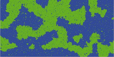 Au dessous de la température critique, les phases '+' et '-' se séparent